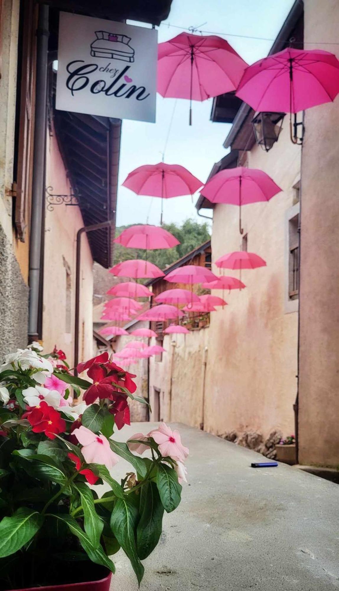 Le Doux Nid Bed and Breakfast Chanaz Buitenkant foto