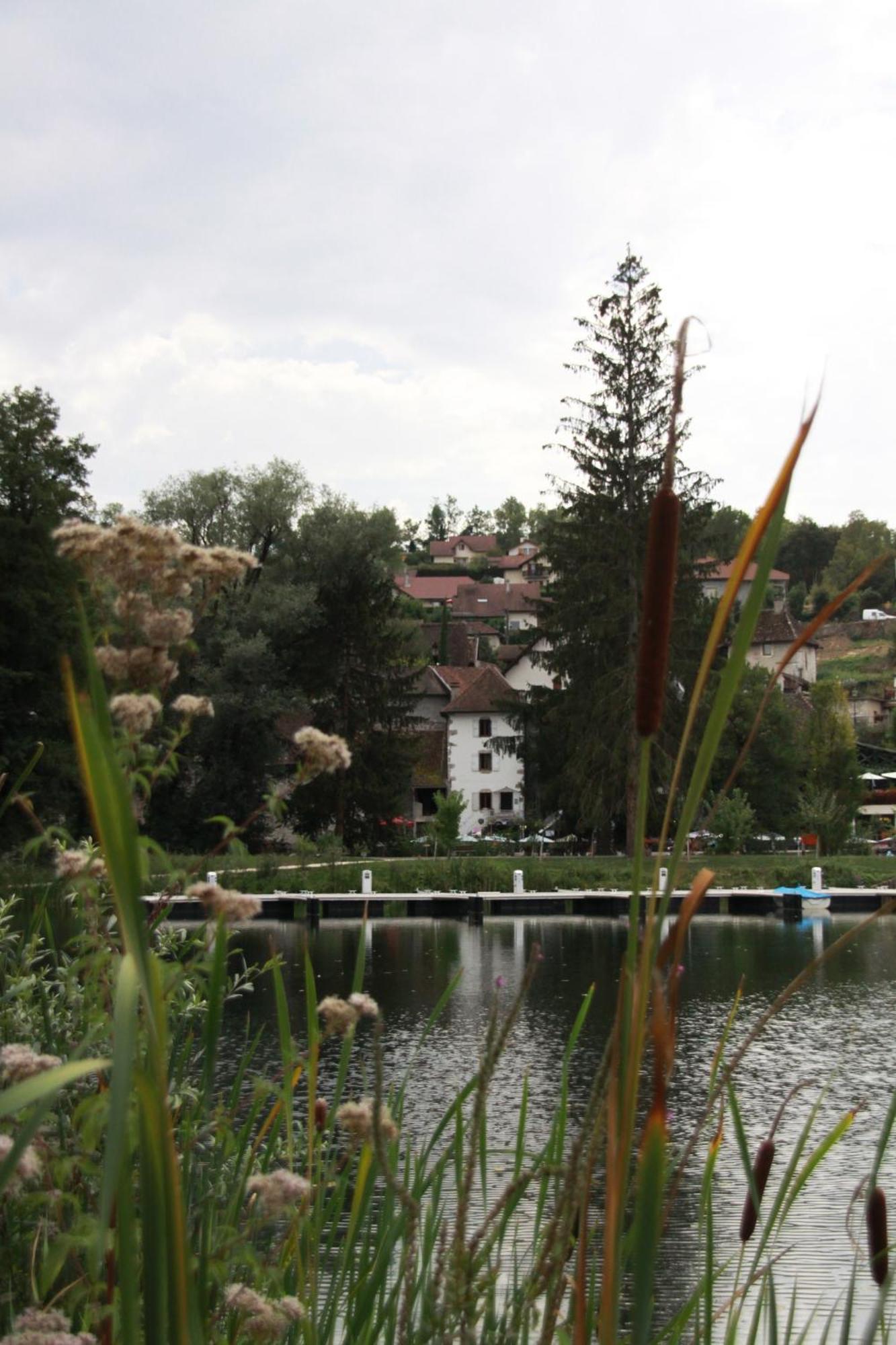 Le Doux Nid Bed and Breakfast Chanaz Buitenkant foto